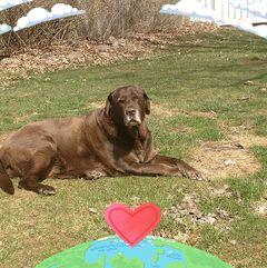 Brooke Young's Post|Lemon8