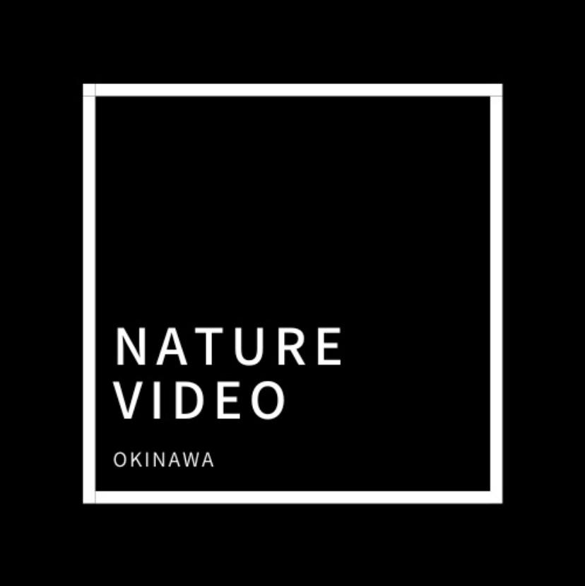 Nature_Videoの画像