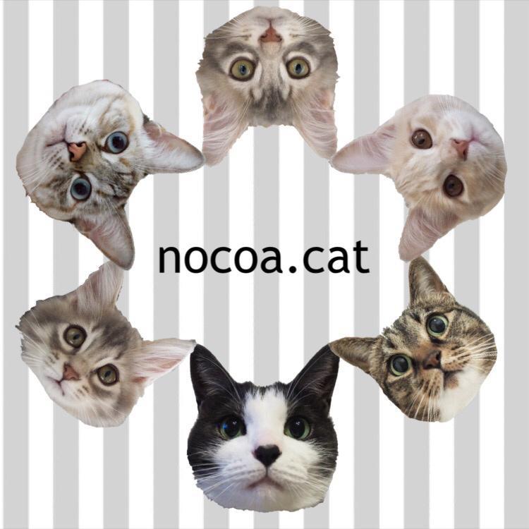 nocoa.cat