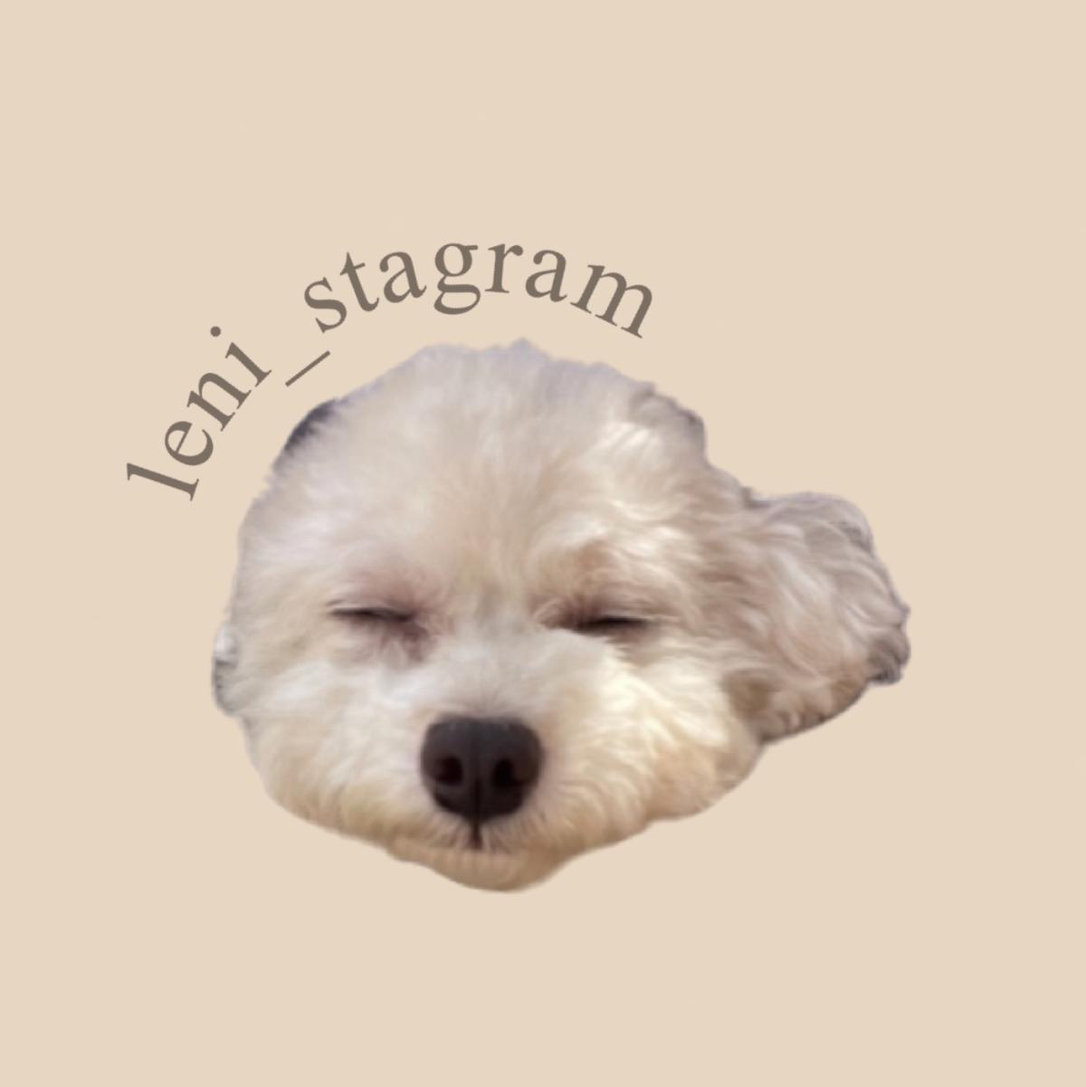 leni_stagramの画像