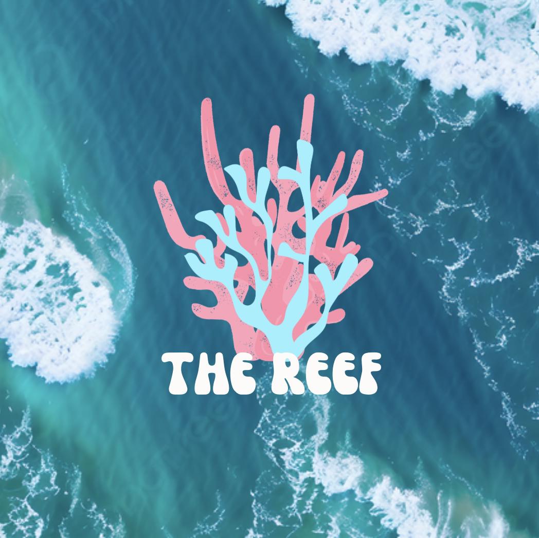 The Reef Blog🪸's images
