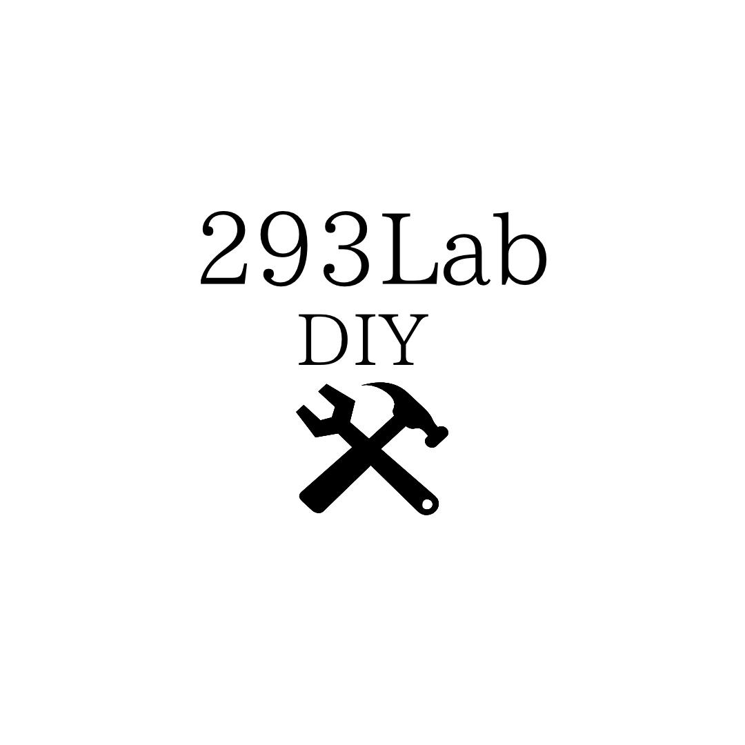 293Lab DIYの画像