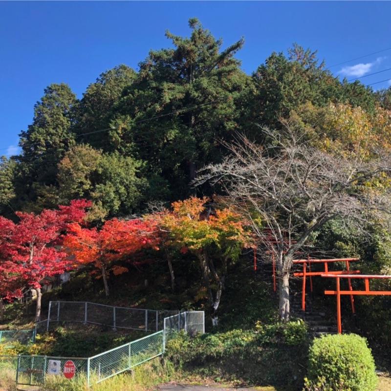 【フル動画】sqte00482【無料】おしゃべり好き美少女はハメ潮を撒き散らす淫乱セックスをしちゃう娘でした。藤田こずえ | 【完全版破壊フル動画】