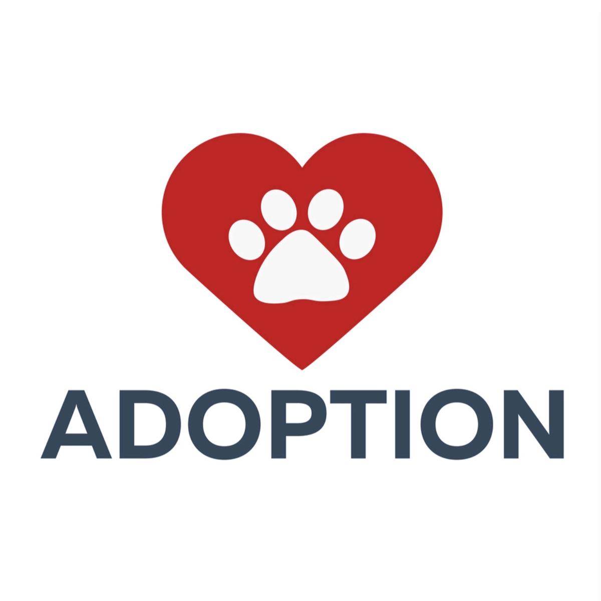 Pets Adoption's images