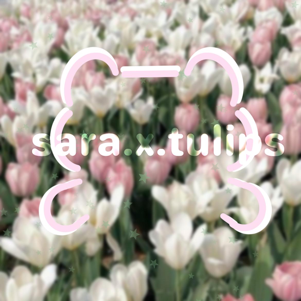 sara.x.tulips's images