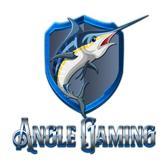 Angel Gaming's images