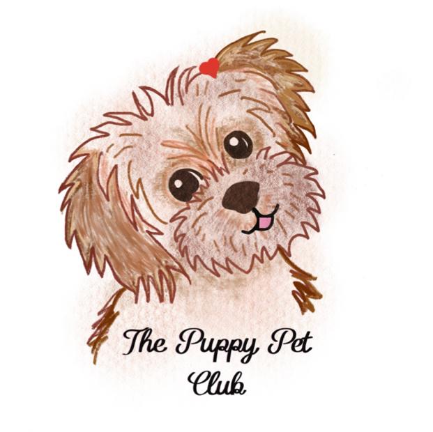 Puppy pet club's images