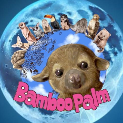 BambooPalmの画像