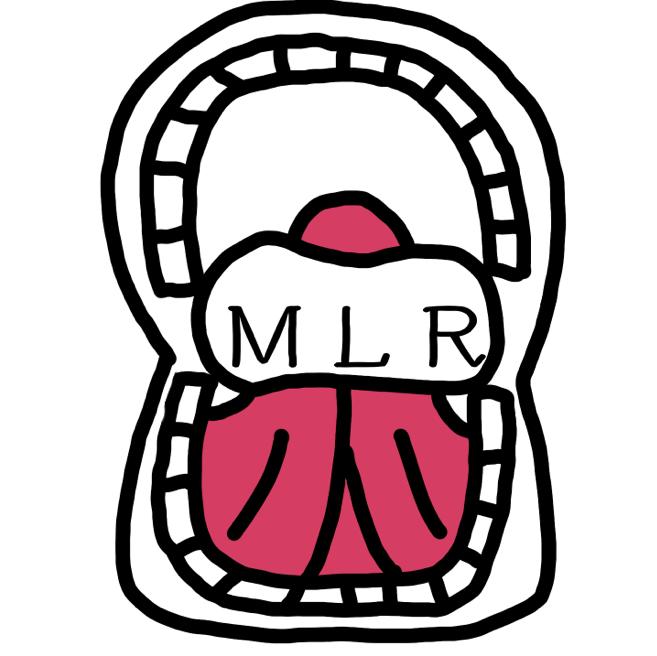 MLR | ファッション |の画像