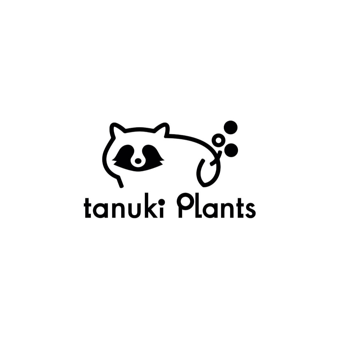 tanuki Plantsの画像