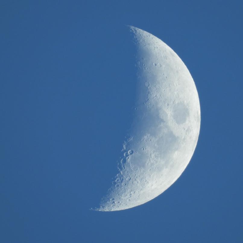Blue Moonの画像