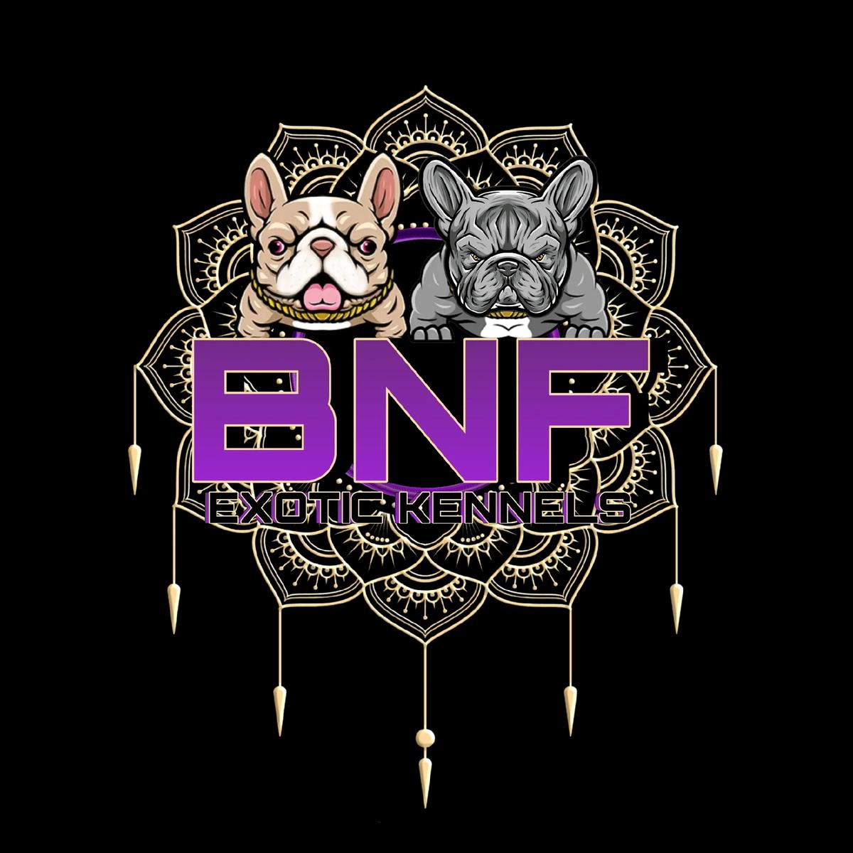 BNFEXOTICKENNEL's images