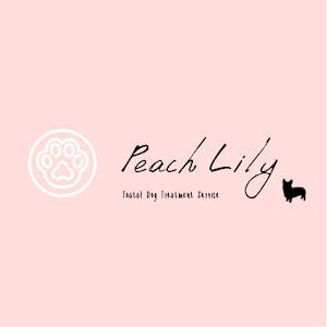peach lily dog