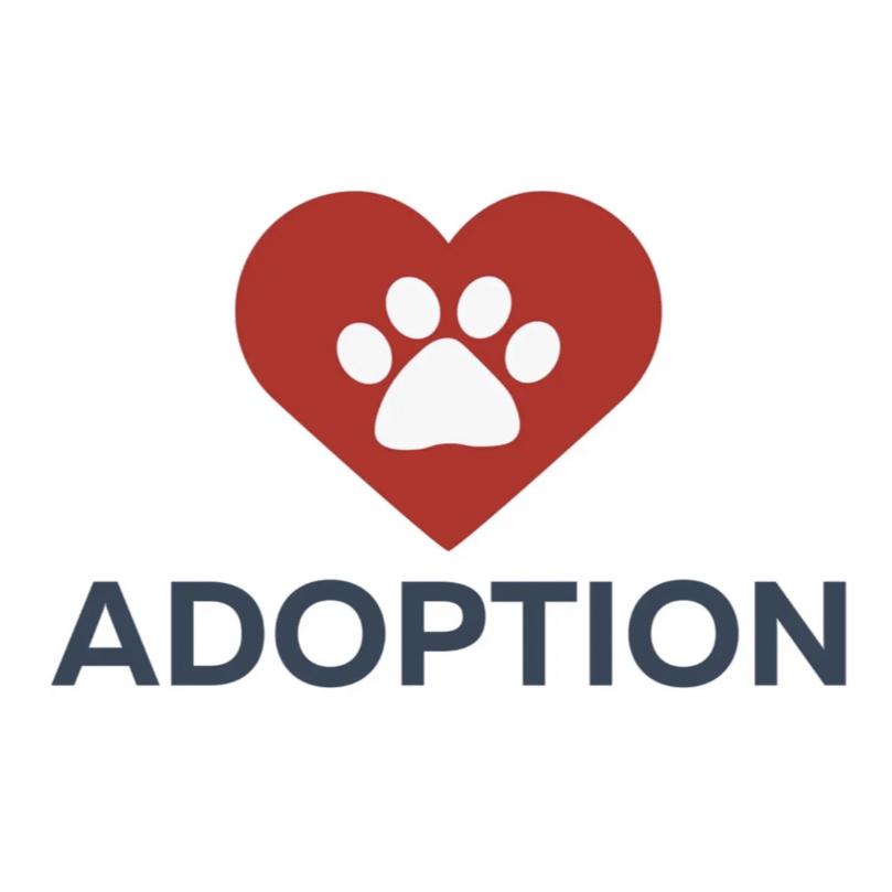 Pets adoption 