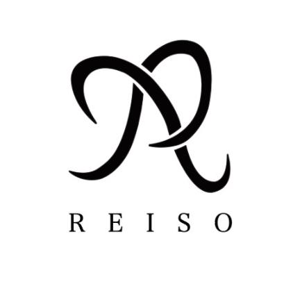 REISO_design