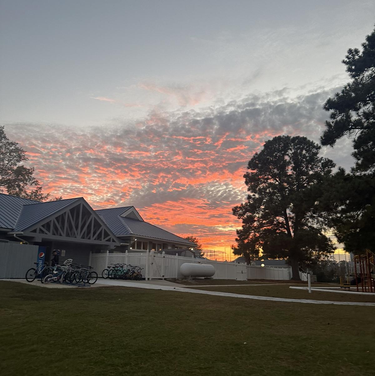 Skyeрџ ћ S Post Lemon8