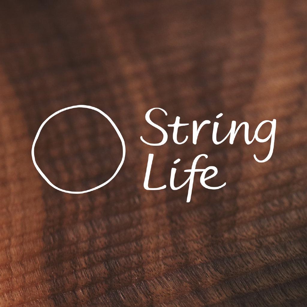 Stringlife