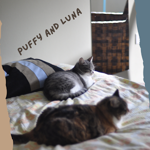 puffy and luna's images