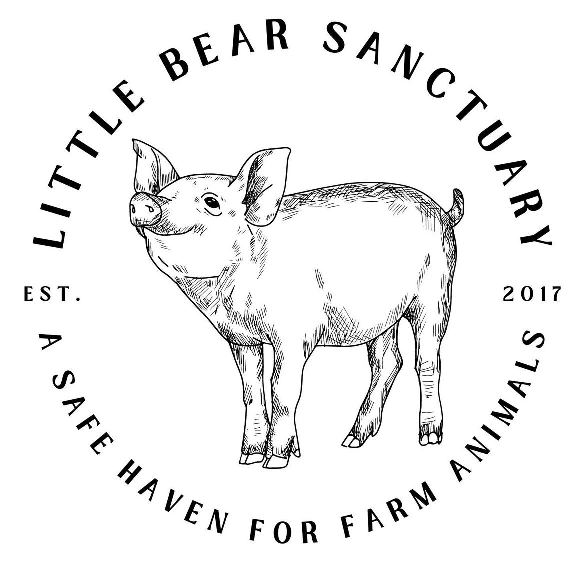 Little Bear's images