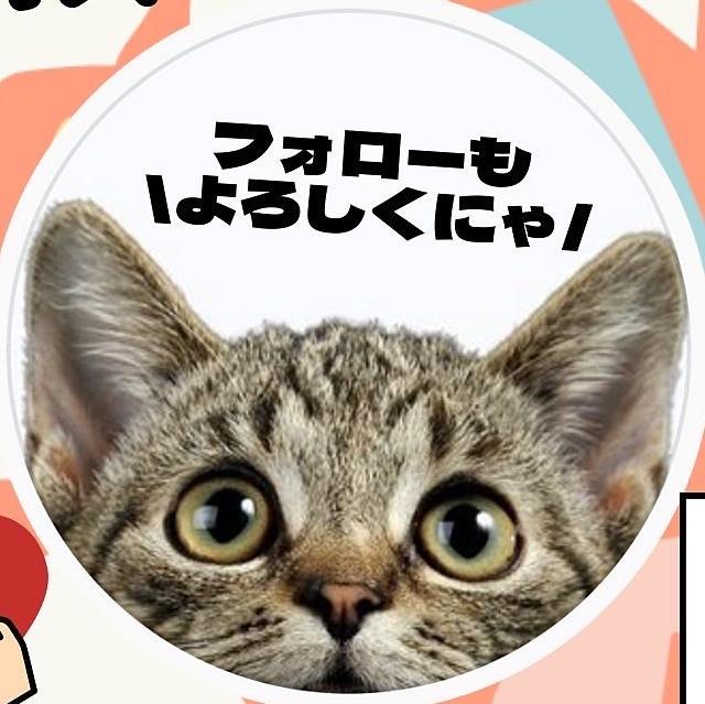 ねこトピ🐈猫好きのための豆知識の画像