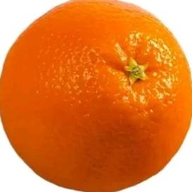 Orangeyouglad?