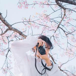 櫻子|エモ写真旅、北埼玉暮らし