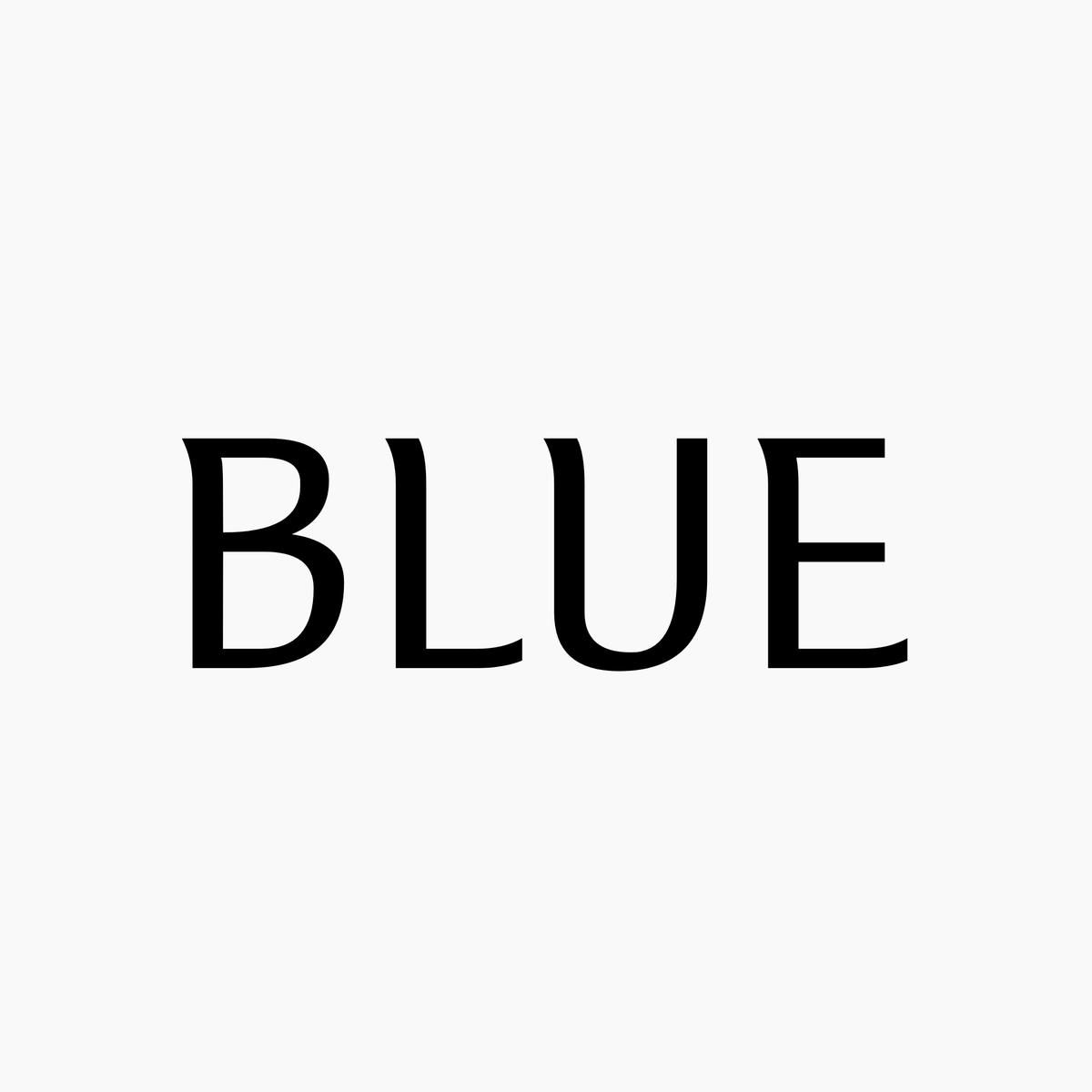 BLUE.wvoの画像
