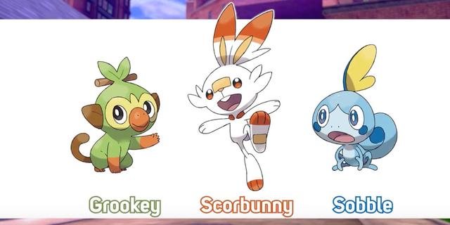 Pokemon Schwert Domtendo 16