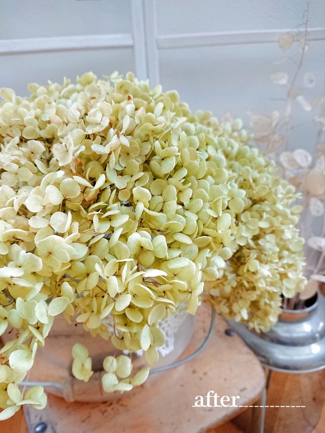 Nameに関する最新投稿と人気の投稿 Lemon8