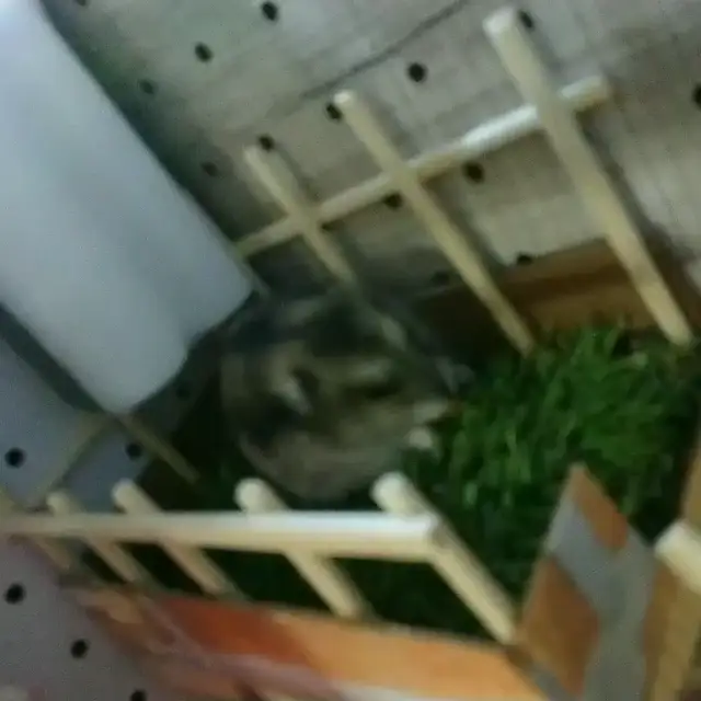 ハムスターロフト 手作り Lemon8