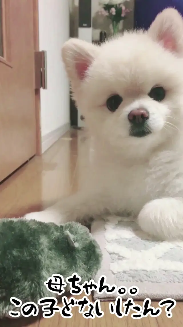 クレヨンしんちゃん トラウマ Lemon8