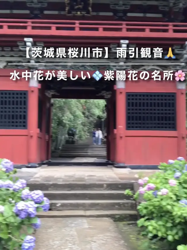 Lemon8 Story 雨引観音