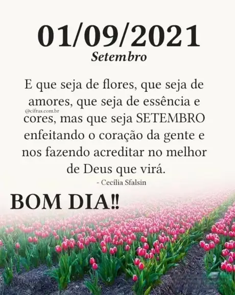 BEM-VINDOSETEMBRO | Helo BEM-VINDOSETEMBRO | Helo
