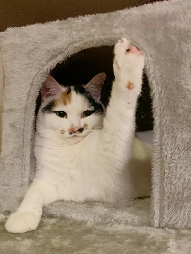 nameに関する最新投稿と人気の投稿｜Lemon8