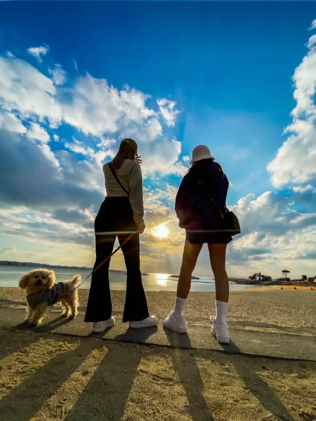 Iphone エモい壁紙 Lemon8 Iphone エモい壁紙 Lemon8