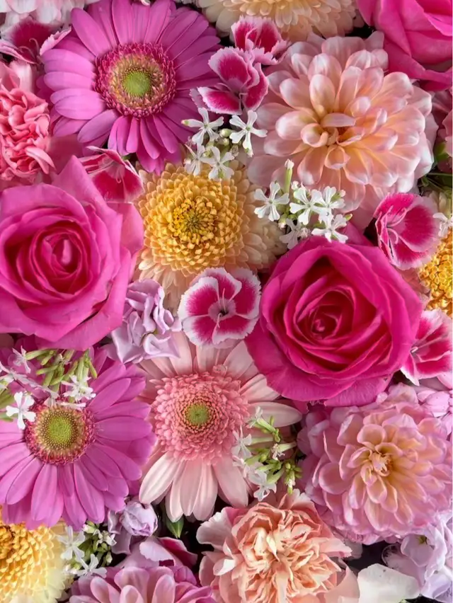 受験生 壁紙 Lemon8