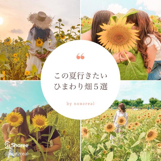 ひまわりに関する最新投稿と人気の投稿 Sharee