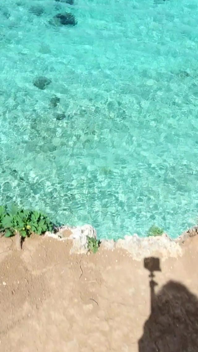 ビーチ51に関する最新投稿と人気の投稿 Sharee