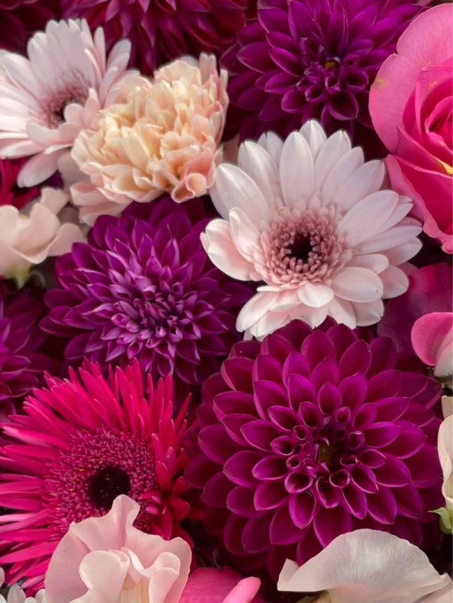 花手水のある神社に関する最新投稿と人気の投稿 Lemon8