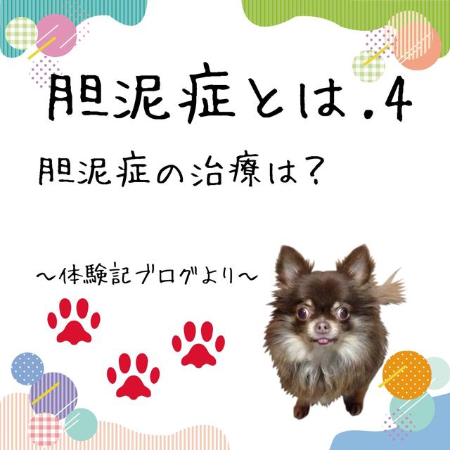 闘病記に関する最新の人気投稿 Lemon8