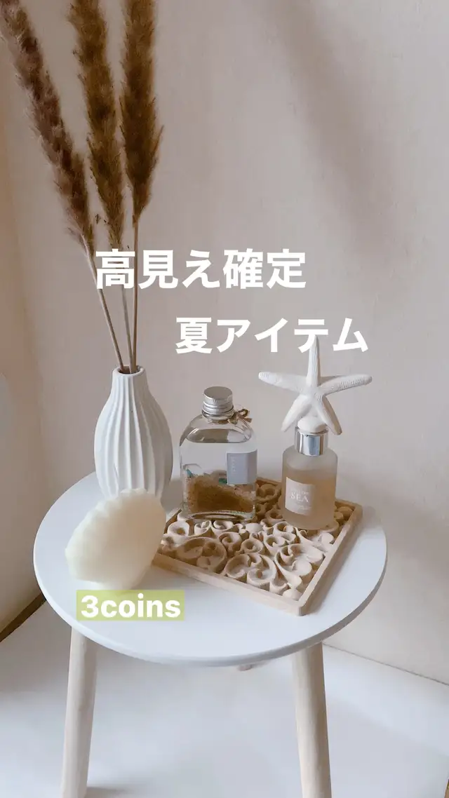 Lemon8 Story スリコ夏グッズ