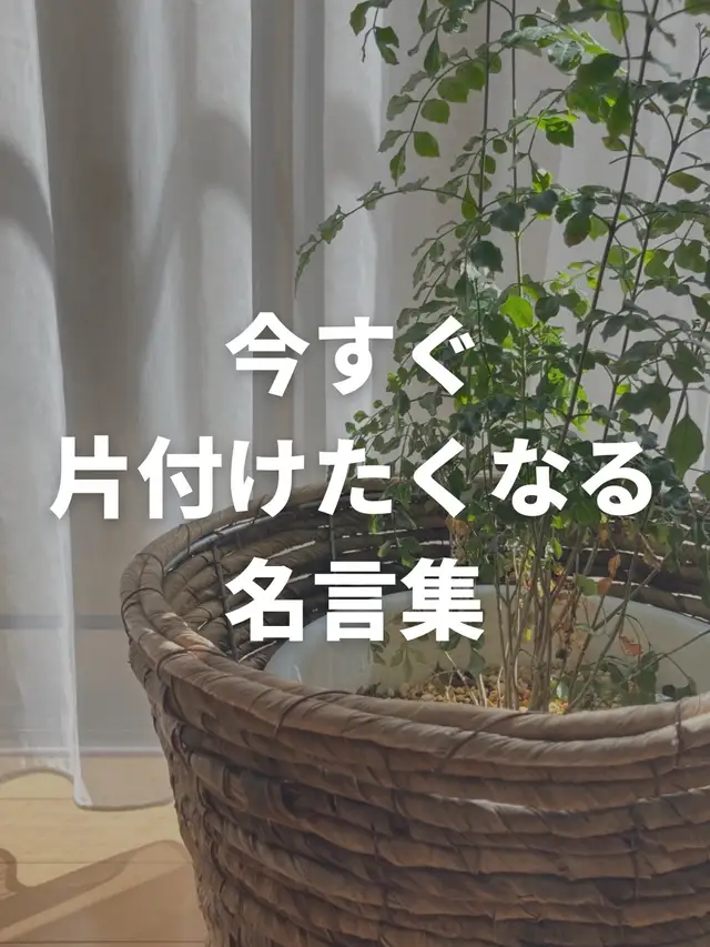 100倍片付けたくなる名言集 はる コスパ良く暮らす人が投稿した記事 Lemon8