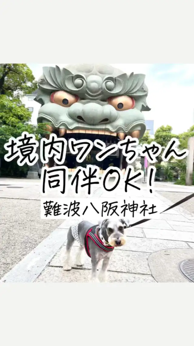 関西犬イベント Lemon8