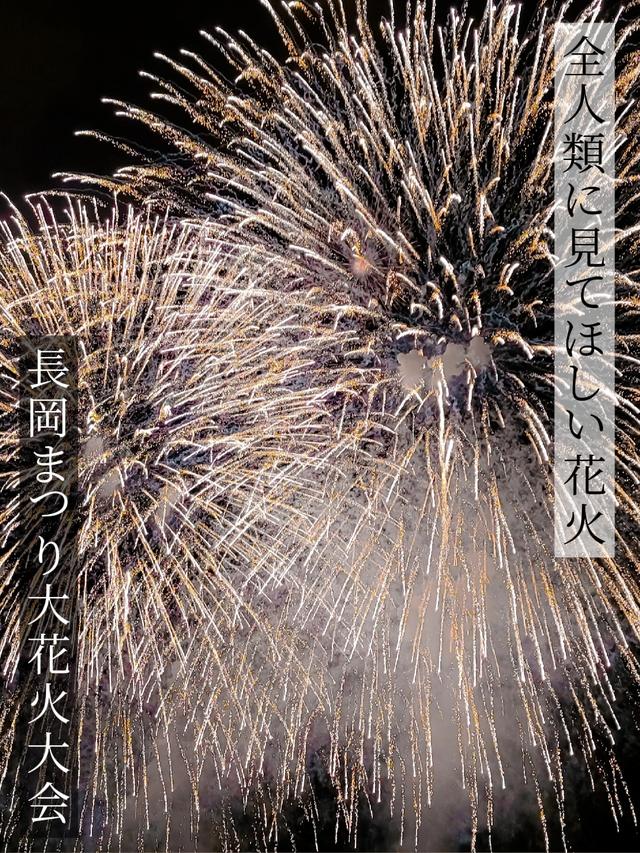 【新潟】あまりの大きさの音と迫力に泣く人続出。日本一の花火は本当に美しかった。