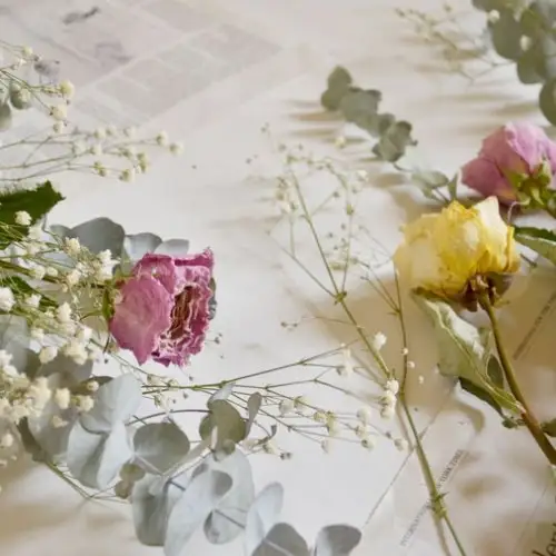 待ち受け画像 ドライフラワー Lemon8