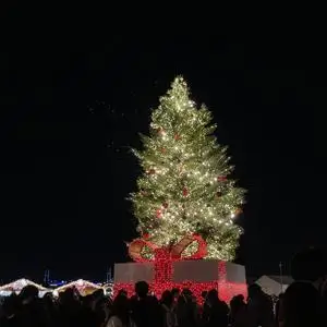 ももプリ パック 頻度 Lemon8