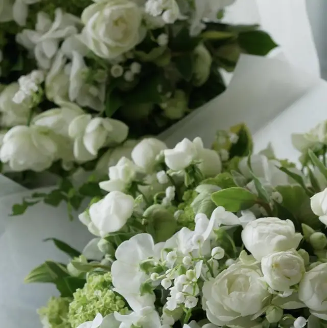 さくらんぼ 壁紙 みゅう Lemon8