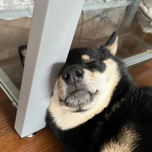 Vxpewte1gugixm