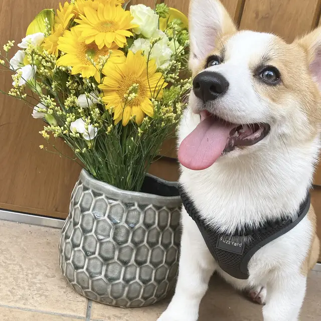 Travis Walker 着瘦せコーデ Lemon8