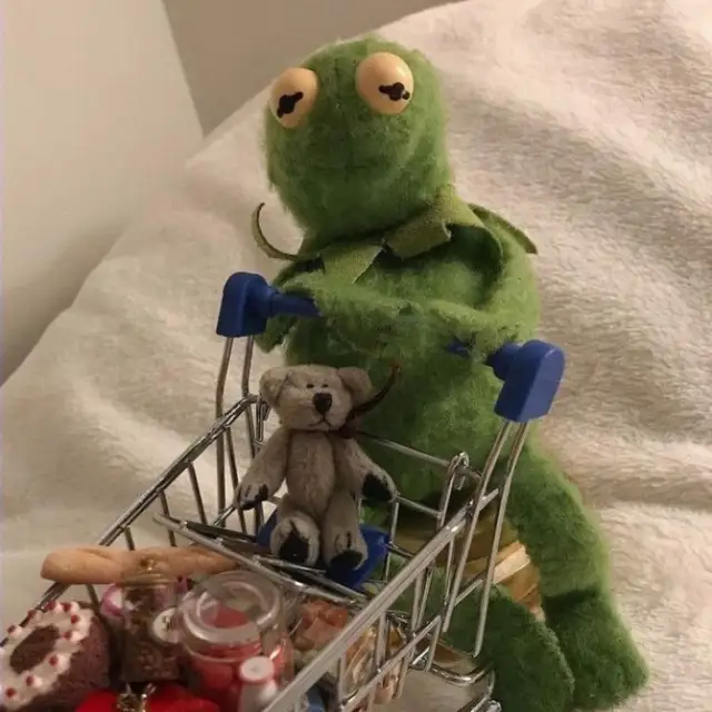 はんぎょどん Lemon8